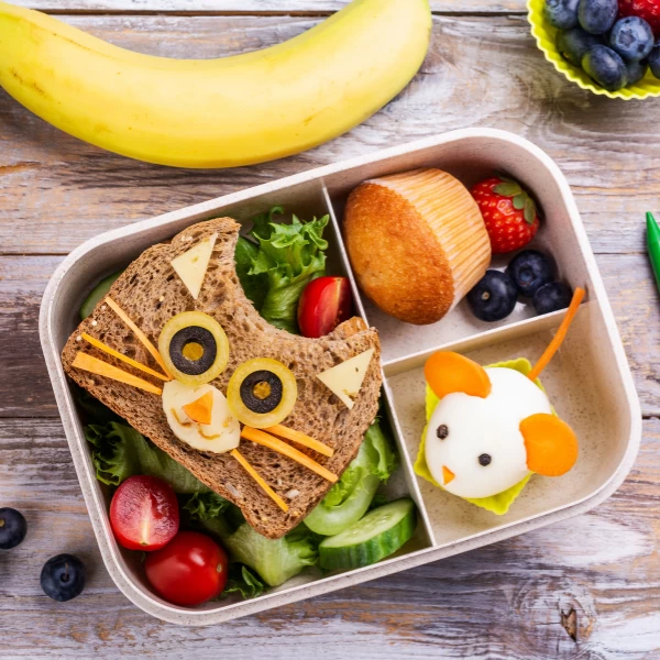 Lancheira saudável e prática: dicas infalíveis