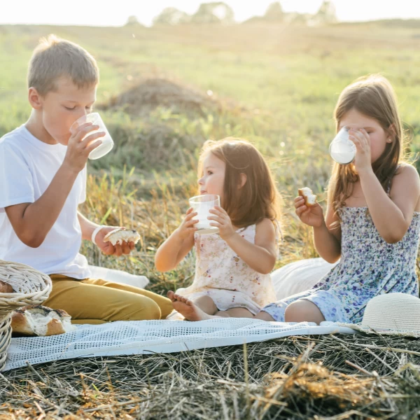 Cálcio: por que ele é essencial para a saúde dos ossos e como consumir mais?